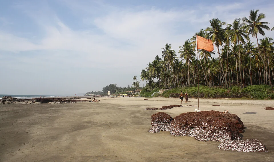 16 Best Beaches in Goa