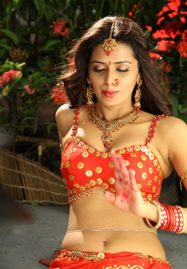 Meenakshi+Dixit+Hot+Stills+(2).jpg