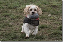 IMG_0709