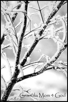 snowflakes 006