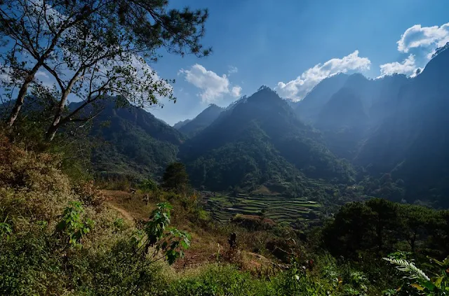 Rice Terraces at Poblacion Bakun