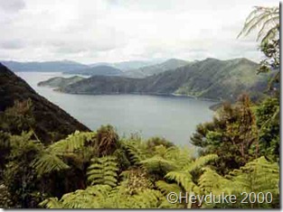 Queen Charolotte tramp, New Zealand 