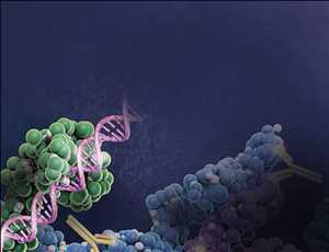 Protein Expression Systems