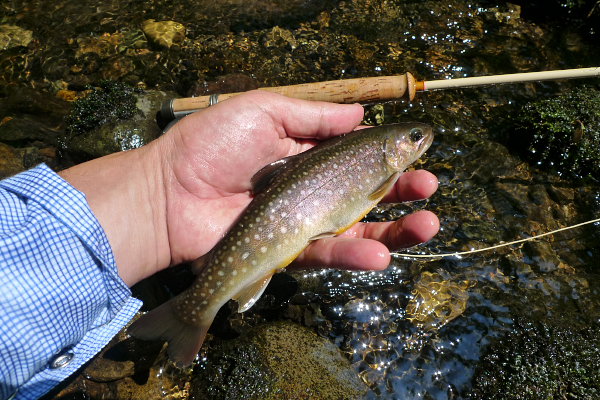 P1080429.jpg