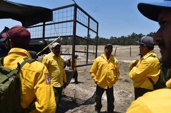 Envían brigadistas a combatir incendio forestal en Santa Lucia de la Sierra