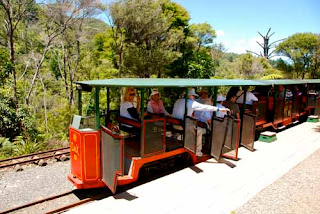 Driving Creek Railway Coromandel Town New Zealand