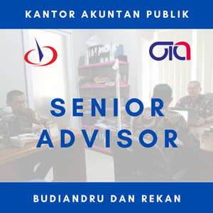 Senior Advisors of KAP Budiandru & Rekan