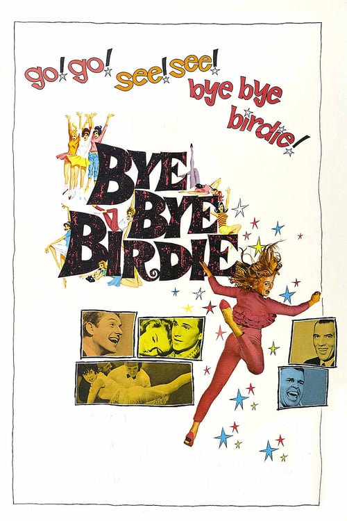 Ver Un beso para Birdie 1963 Pelicula Completa En Español Latino