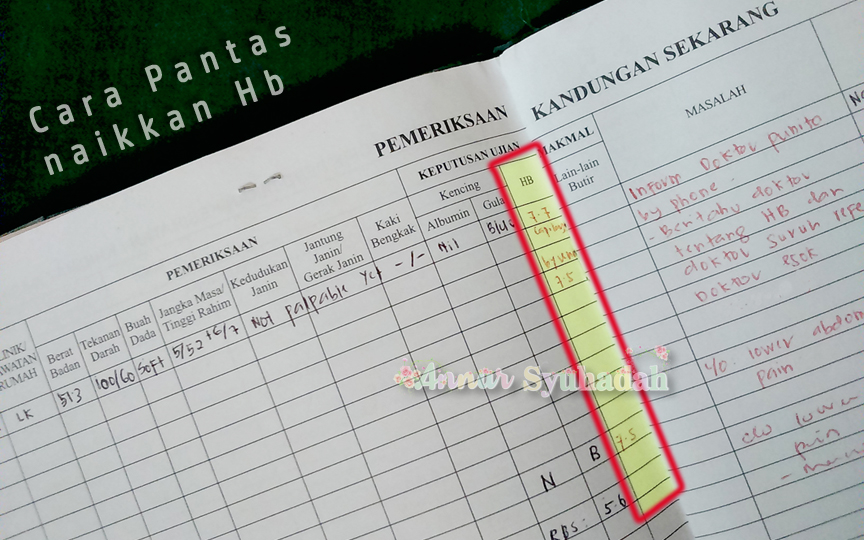 Iberet Folic 500  Cara pantas selesaikan masalah Hb 