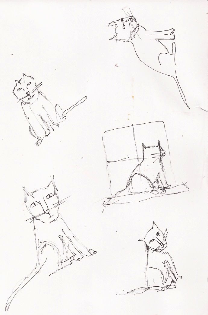 drawings my brain seems to know one way to draw a cat and not a very ...