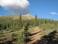 Mt. Elbert from treeline