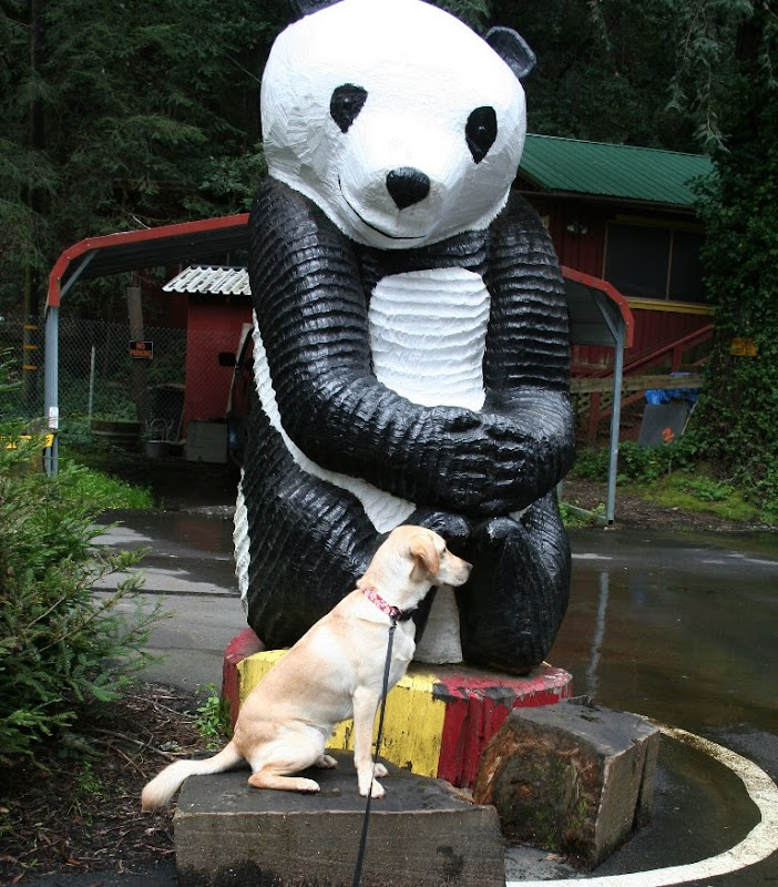 cabana sitting on a wooden stump in front of a 20 foot tall panda