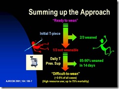 Slide29