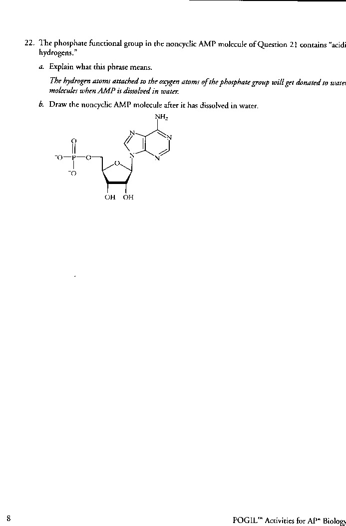 Biochemistry basics pogil answer key