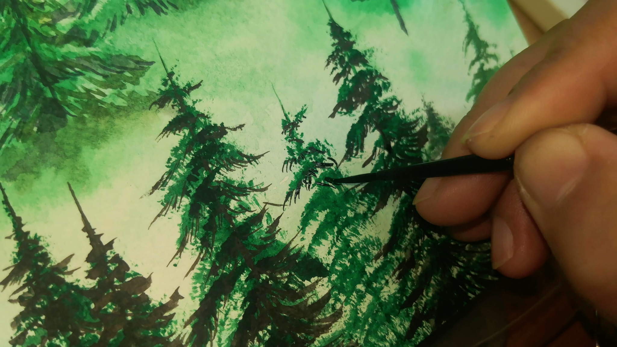 Watercolor pine tree forest tutorial, How to draw a forest, come to see my web online class