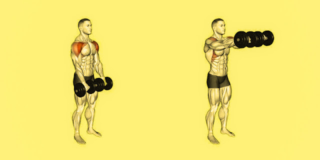 Front raises are a strength-preparing exercise that essentially focuses on the foremost (front) deltoids which are the muscles situated at the front of your shoulders. This exercise is normally performed with free weights yet you can likewise utilize a hand weight, links, or other obstruction hardware. This is the way you can perform front raises with free weights