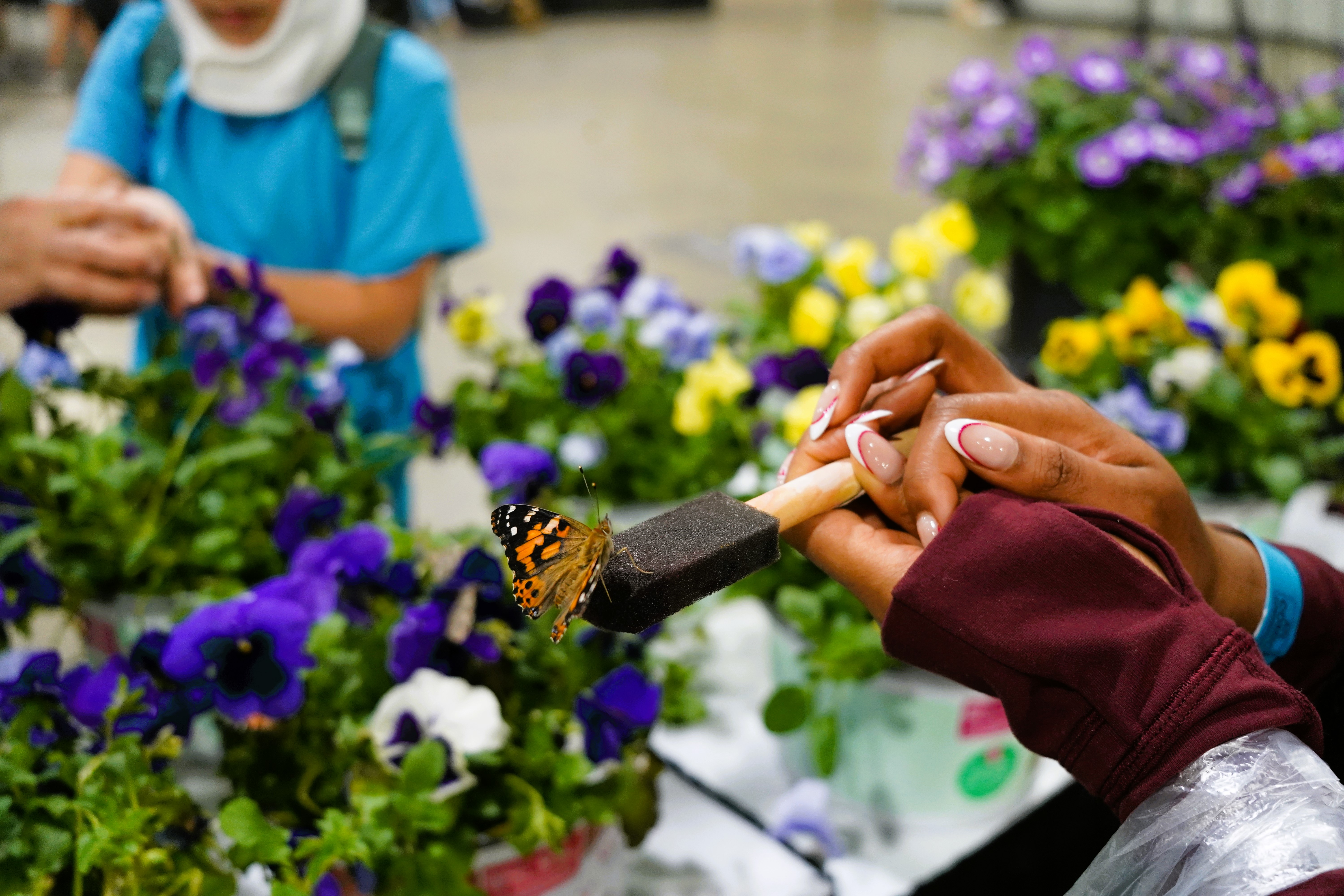 Butterfly Exhibit at ATL Comic Convention