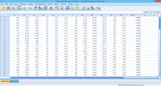 Cara Melakukan Uji Auto Korelasi Durbin Watson dengan SPSS