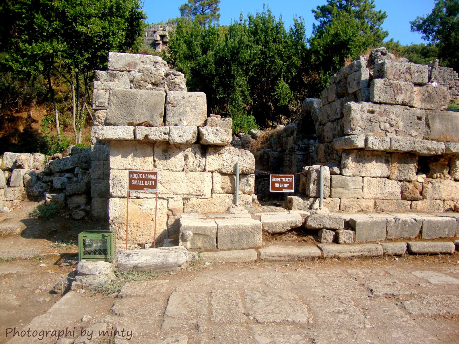 phaselis 9