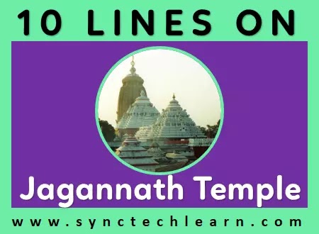 10 lines on jagannath temple in english