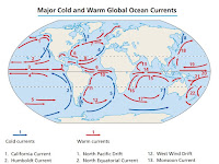 Atlantic Ocean Warm And Cold Currents