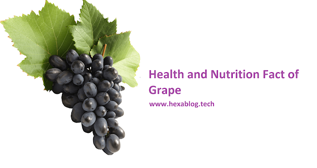 Health and Nutrition Fact of Grape