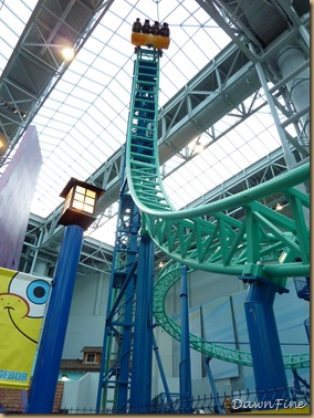 mall of america_20090814_015