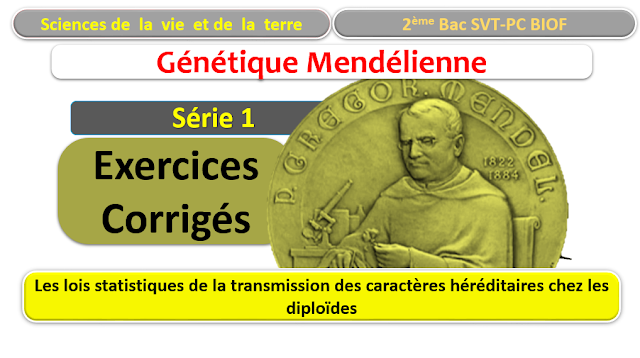 Les lois statistiques de la transmission des caractères héréditaires chez les diploïdes