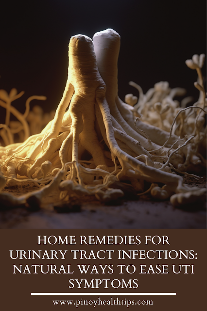 Home Remedies for Urinary Tract Infections: Natural Ways to Ease UTI Symptoms