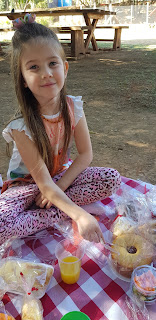 pic nic com criança