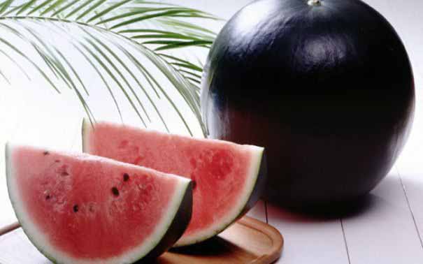 Densuke Black Melon, Most Expensive Foods, Expensive Foods