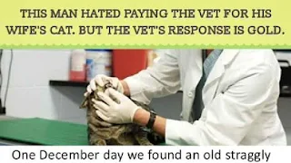 One December day we found an old straggly cat at our door. She was a sorry sight. Starving, dirty, smelled terrible, skinny, and hair all matted down. We felt sorry for her so we put her in a carrier and took her to the vet. We didn't know what to call her so we named her ‘Pussycat.’ The vet decided to keep her for a day or so. He said he would let us know when we could come and get her. My husband (the complainer) said, 'OK, but don't forget to wash her, she stinks.' He reminded the vet that it was his WIFE (me) that wanted the dirty cat, not him. My husband and my Vet don't see eye to eye. The vet calls my husband 'El-Cheap-O', and my husband calls the vet 'El-Charge-O'. They love to hate each other and constantly 'snipe' at one another, with my husband getting in the last word on this particular occasion. The next day my husband had an appointment with his doctor, who is located in the same building, next door to the vet. The GP's waiting room and office was full of people waiting to see the doctor. A side door opened and the vet leaned in - he had obviously seen my husband arrive. He looked straight at my husband and in a loud voice said, 'Your wife's pussy doesn't stink any more. We washed and shaved it, and now she smells like a rose! Oh, and, by the way, I think she's pregnant! God only knows who the father is!' Then he closed the door. The silence was deafening.