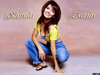 Shania Twain Canadian Pop Singer | Eilleen Regina Edwards Biography Canadian Songwriter