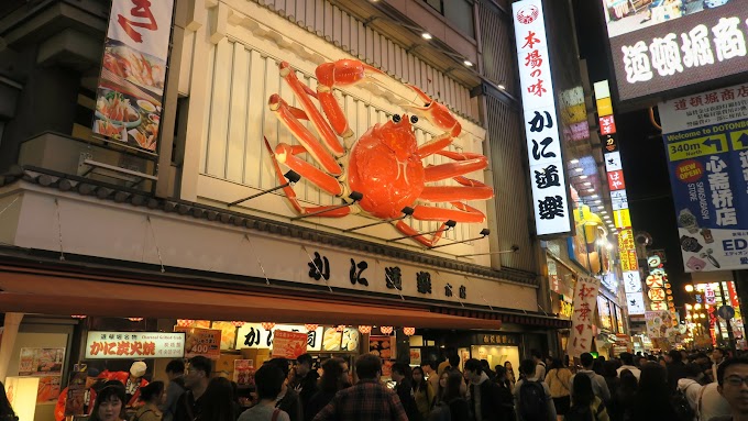 日本Osaka(二) - 大阪美食的無限饗宴 (蟹道樂、軍雞十番、玄品河豚)