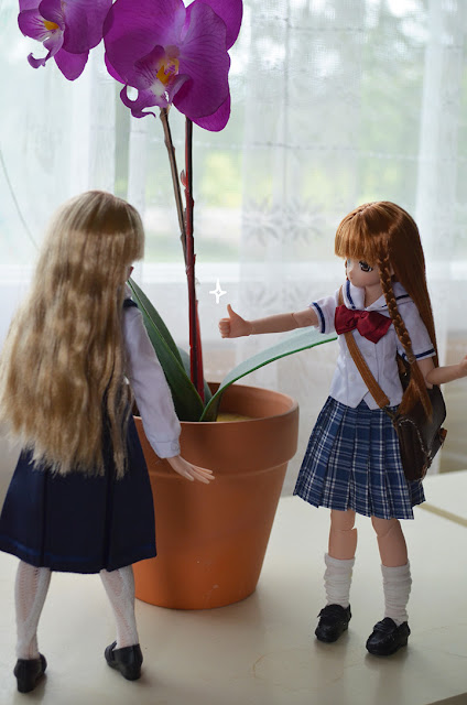 azone school uniforms