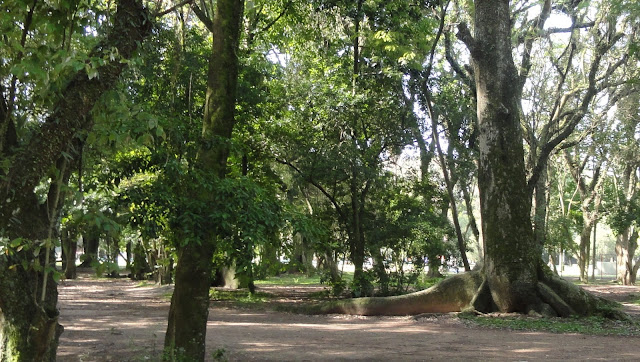 Street in Porto Alegre