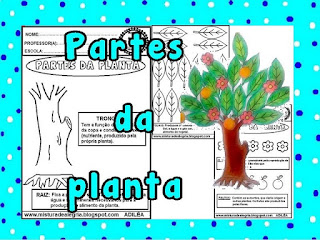 Atividades interativas para educação infantil,partes da planta