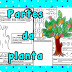 ATIVIDADES INTERATIVAS PARA EDUCAÇÃO INFANTIL - PARTES DA PLANTA 