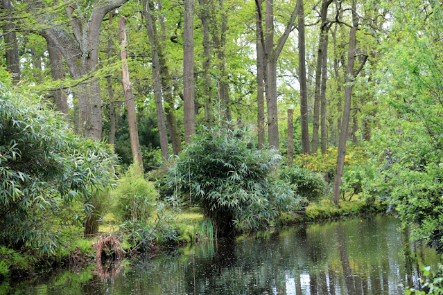 japanse tuin, foto classic cars and lifestyle