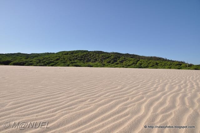 Duna de Valdevaqueros