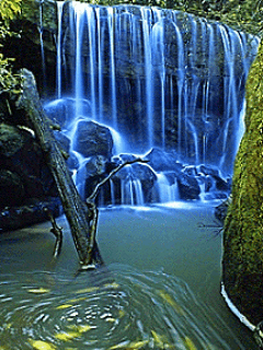 MAGICMOBI MOBILE SCREENSAVERS 240X320 PART-2 MAGICMOBI MOBILE SCREENSAVERS 240X320 PART-2