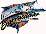 The Barracudas