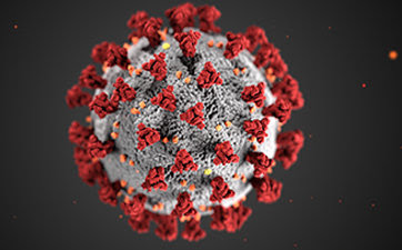 Sejarah Muncul Virus Corona (Covid-19) Yang Tersebar di Dunia