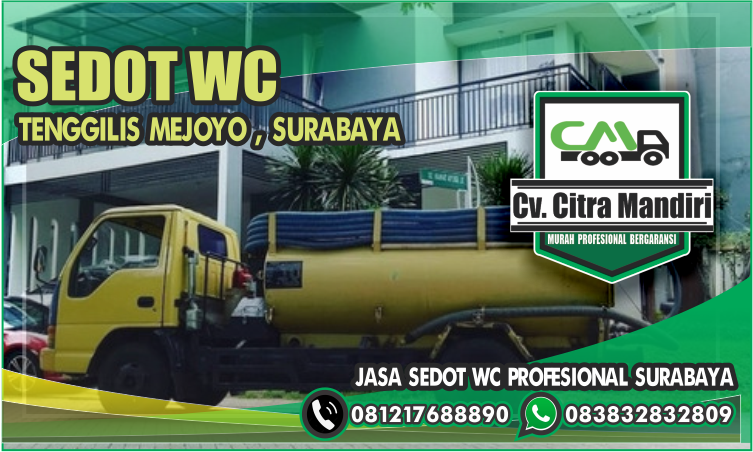 Gambar 007 Sedot WC Mejoyo, Surabaya (Jasa Penulisan Artikel)