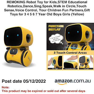 REMOKING Robot Toy
