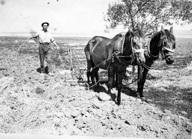 ΒΟΥΚΟΛΟΙ - ΒΑΛΜΑΔΕΣ στη Μπαμπίνη  -Γράφει ο  Αλέξανδρος Κυριαζής