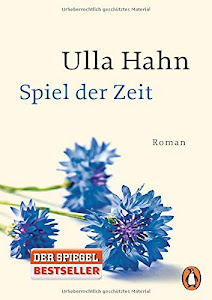 Spiel der Zeit: Roman (Die Geschichte der Hilla Palm, Band 3)