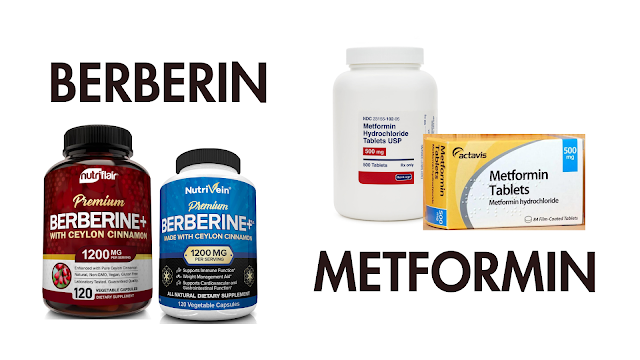 berberine vs metformin