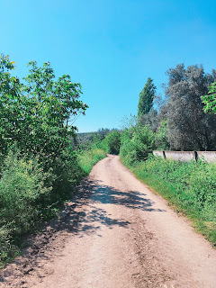 İZNİK GÖLÜ