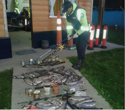 Fueron sorprendidos con 40 truchas y carne clandestina